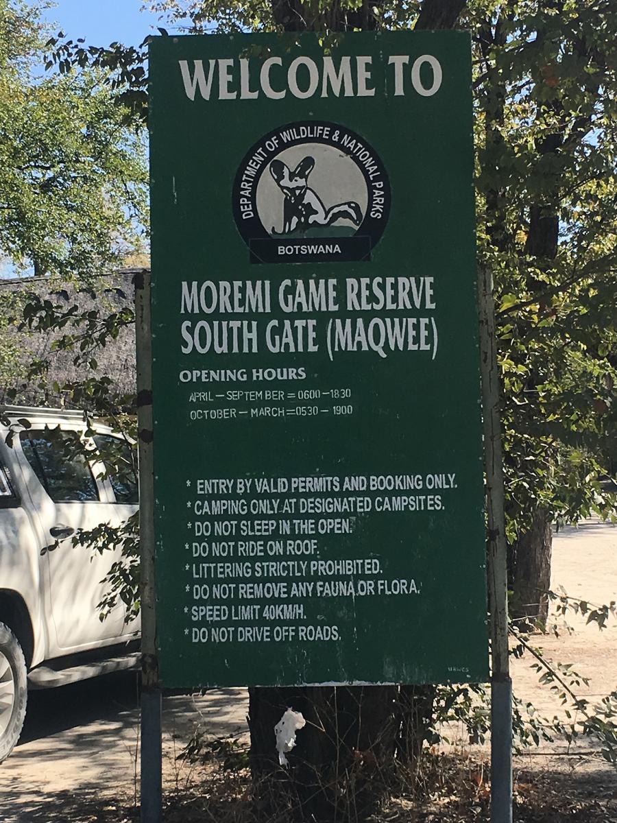 moremi botswana exploringafrica safariadv romina facchi elephant safari gamedrive travel