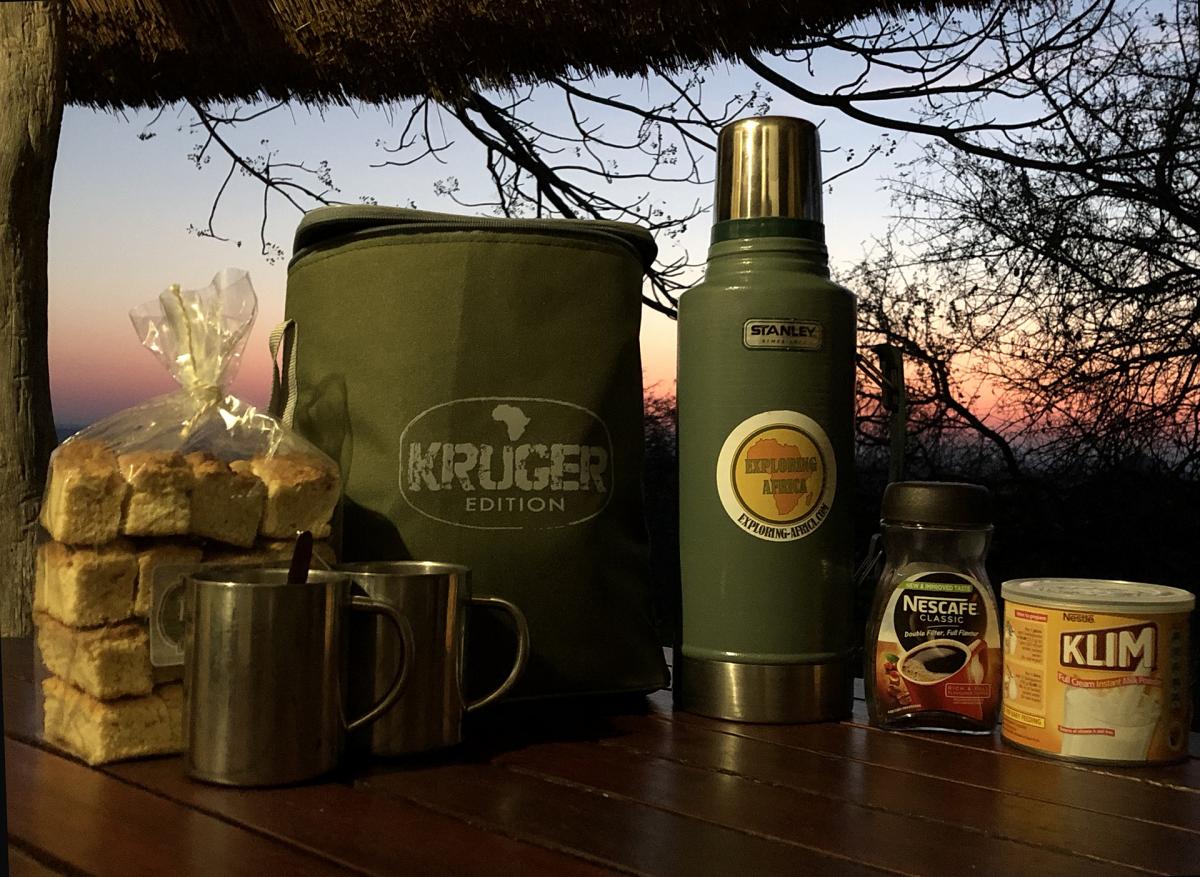 south africa sudafrica exploringafrica safariadv kruger lion safari travel