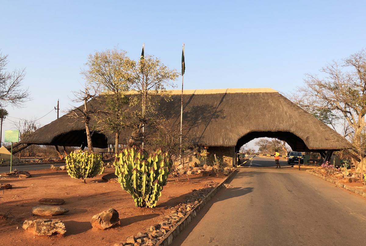 south africa sudafrica exploringafrica safariadv kruger hippo safari travel